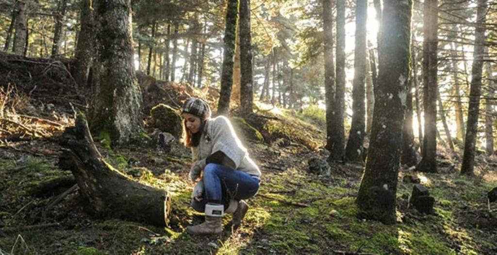 Natura Hotel Vytina Dış mekan fotoğraf